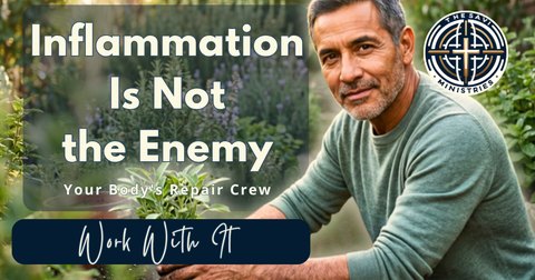 Inflammation Is Not the Enemy
